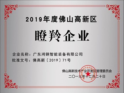 2019 2019